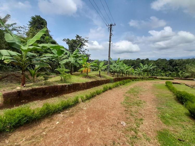 Nisarga Homestay, Dharmasthala Dharmastala Esterno foto