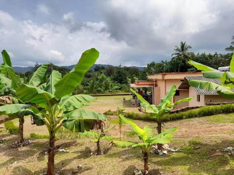 Nisarga Homestay, Dharmasthala Dharmastala Esterno foto